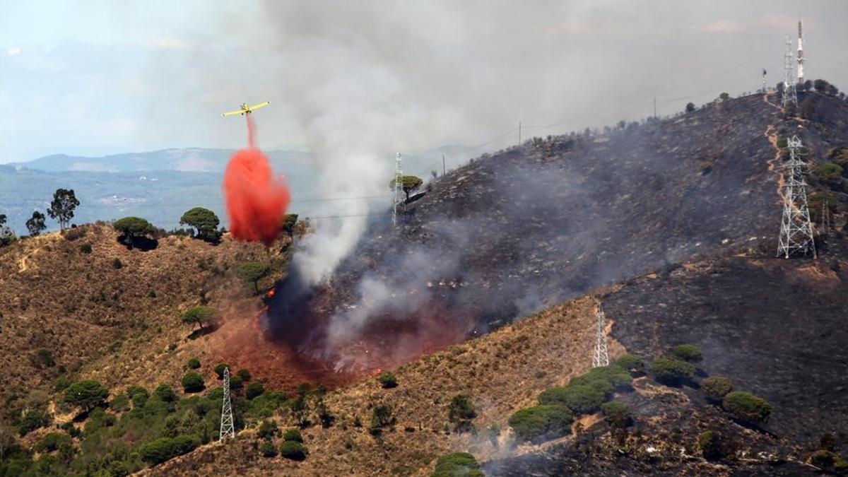 Los bomberos tratan de apagar el incendio que se declaró en Collserola el pasado septiembre.