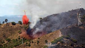 Los bomberos tratan de apagar el incendio que se declaró en Collserola el pasado septiembre. 