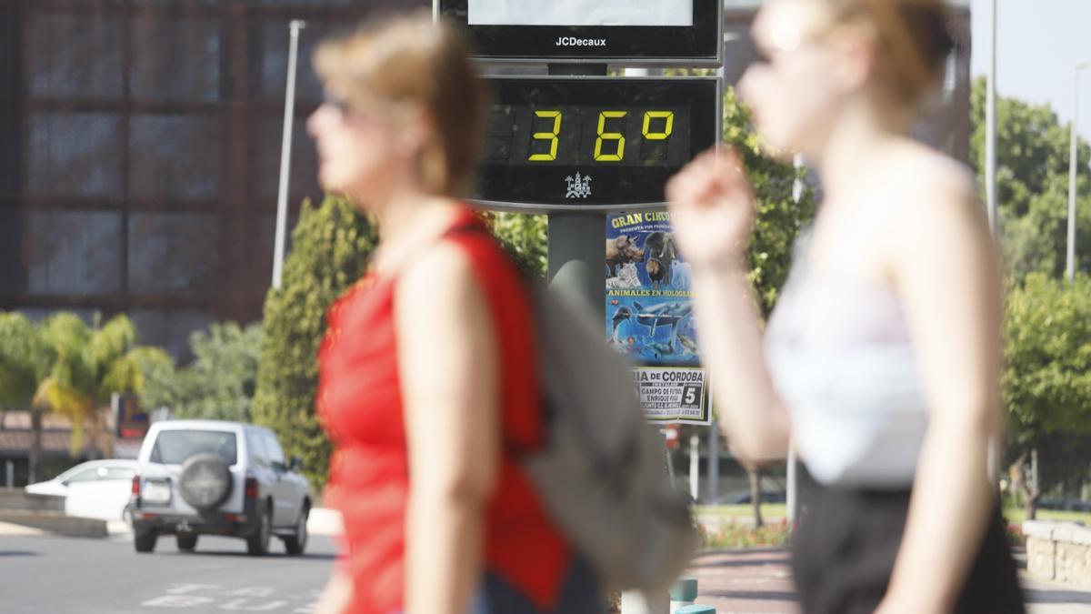 Un termómetro registra los 36 grados este sábado en Córdoba.