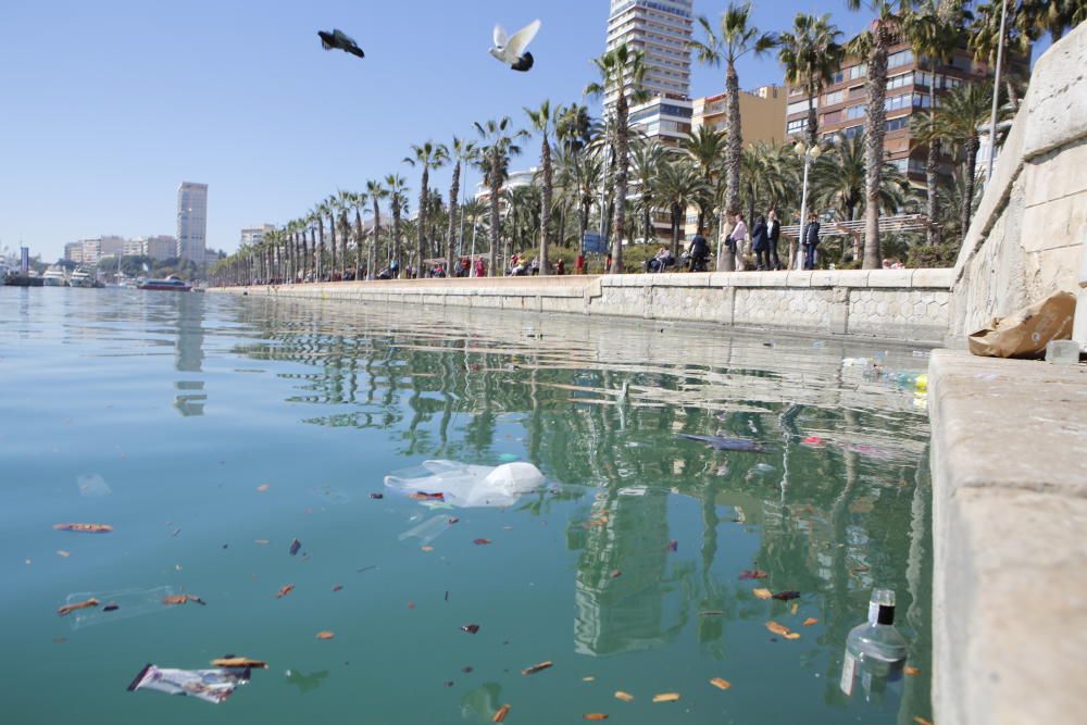 Alicante amanece disfrazada de basura