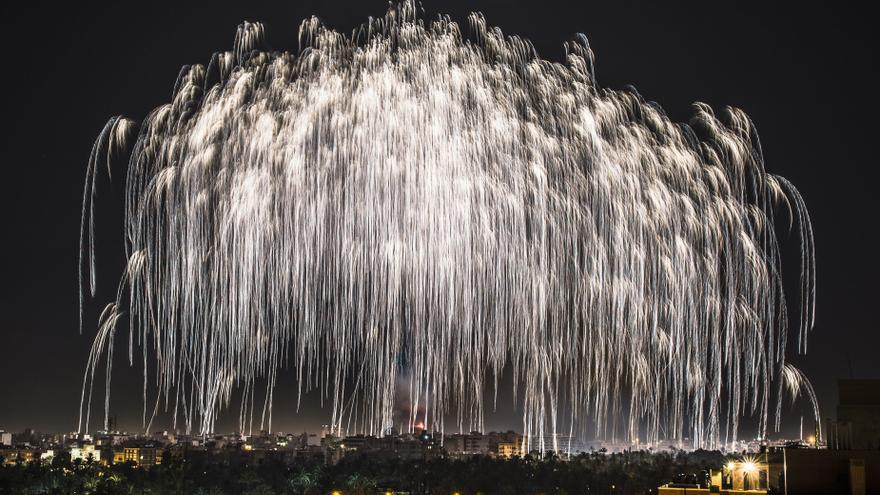 Lista la Palmera de la Virgen más grande que se haya visto en las Fiestas de Elche