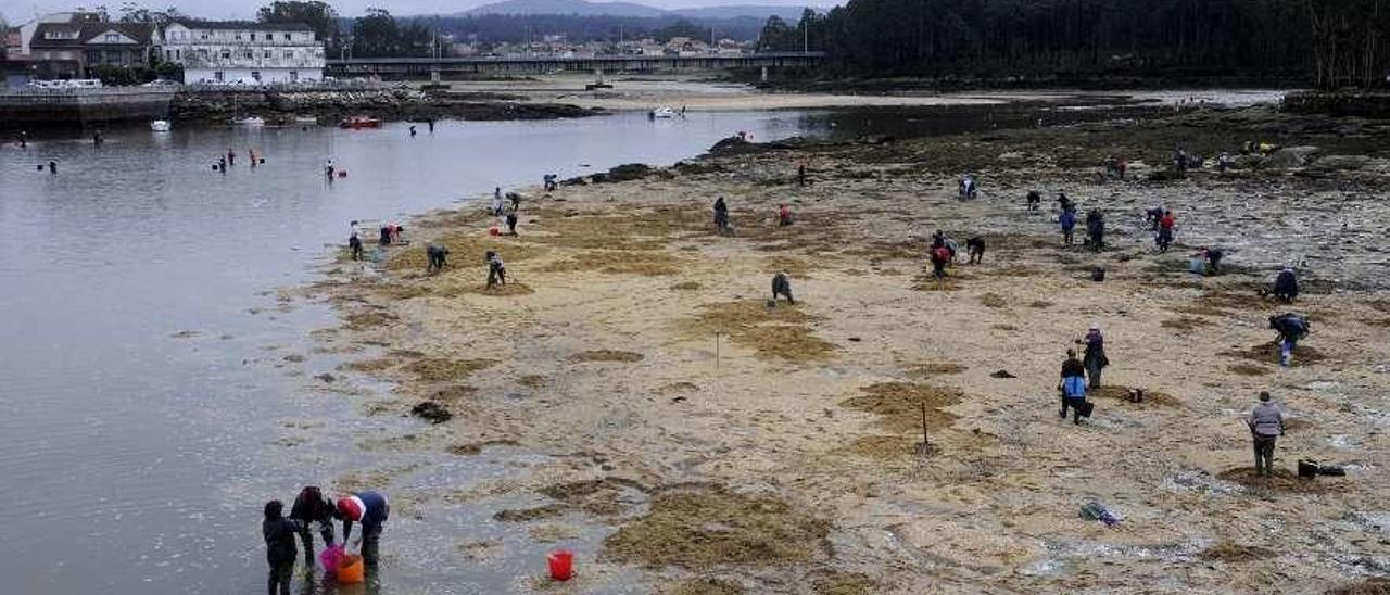 Mariscadoras de Vilanova trabajando en O Ariño. // Noé Parga