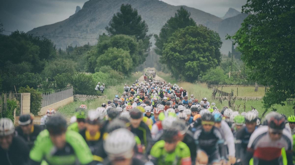 Imagen de la prueba del año pasado de la Mallorca 312, que este 2025 cumple su decimosexta edición