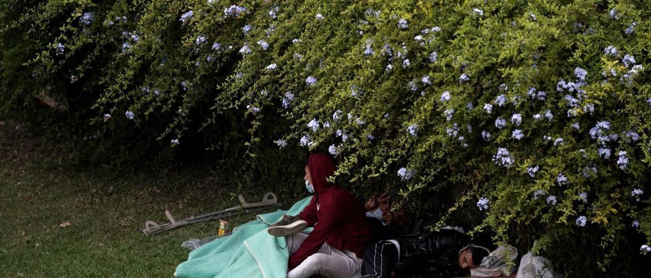 Niños migrantes duermen bajo un seto en un parque de Ceuta.