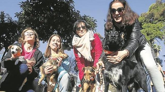 Nueva jornada de adopción de mascotas