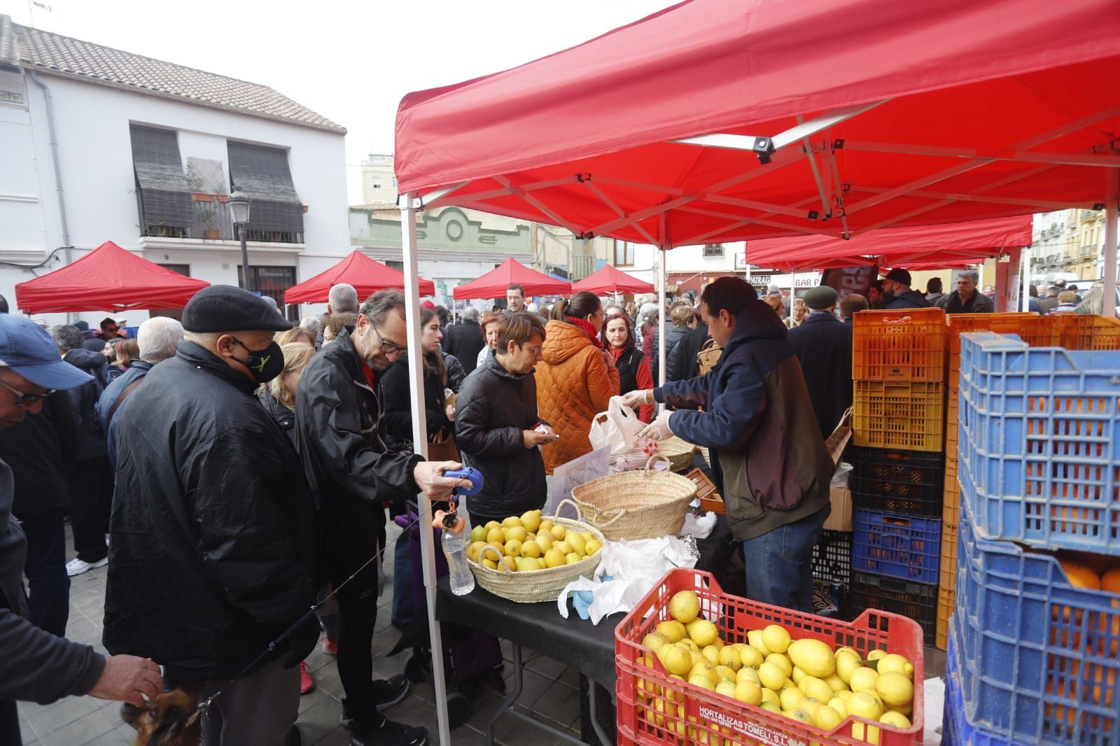 Mercado de proximidad en Patraix