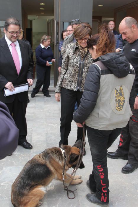 Exhibición canina en la Asamblea regional