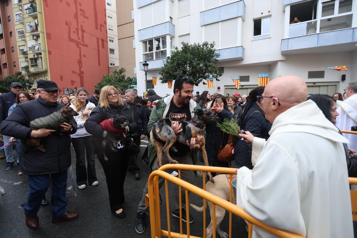 Bendición de animales por Sant Antoni en la calle Sagunt de València