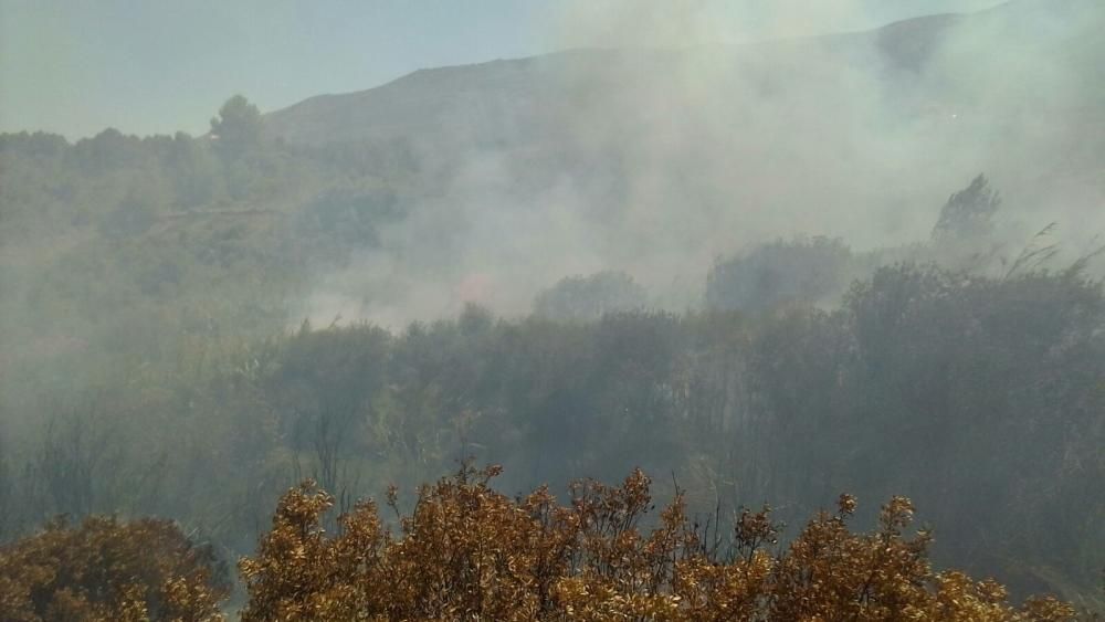 Un incendio forestal en Parcent obliga a desalojar una decena de viviendas