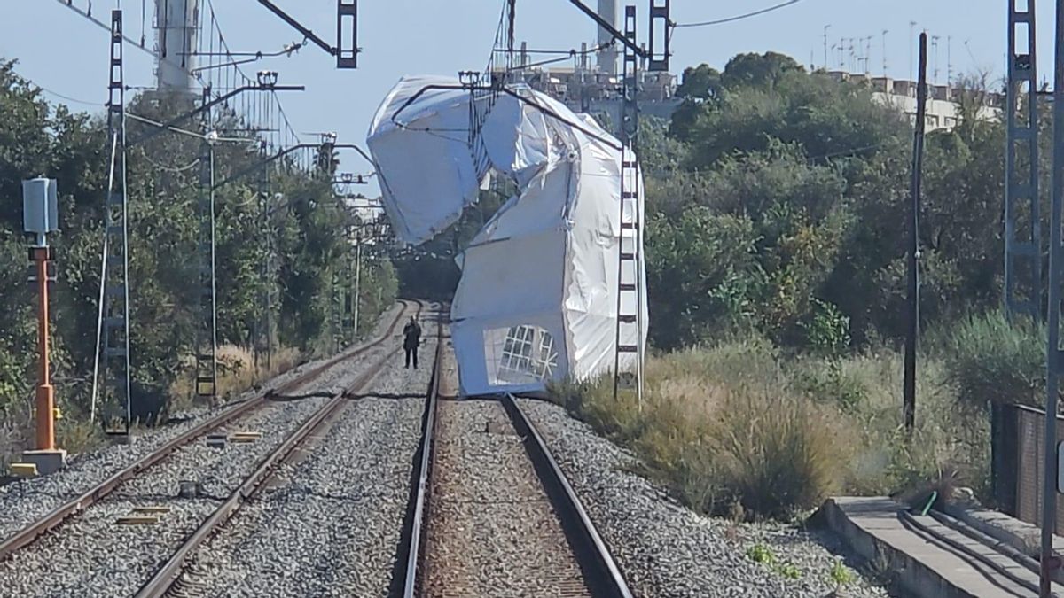 La caída de una gran carpa en las vías de la R1 en Badalona interrumpe la circulación de trenes