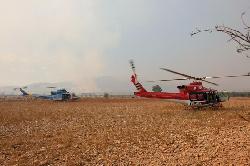 Declarado un incendio en una zona de barranco de Beneixama