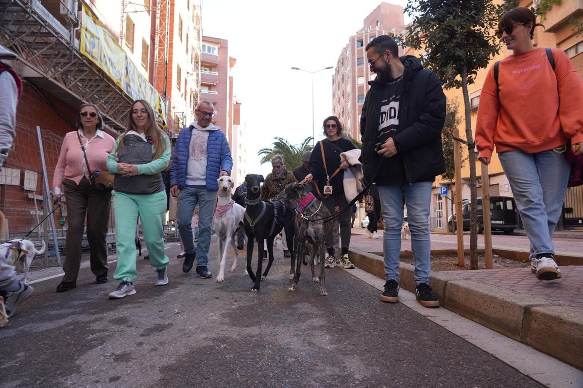 Perros participantes en el desfile, junto a sus propietarios, este domingo.
