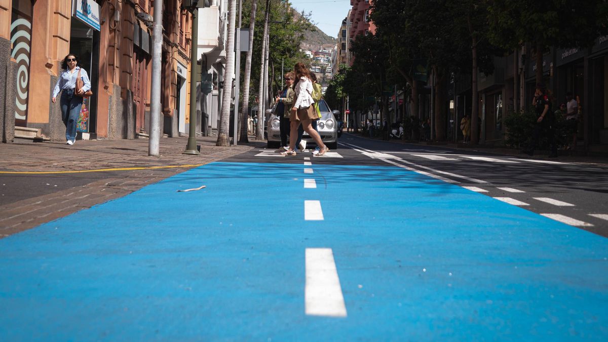 Un peatón circula por el carril bici de la calle El Pilar