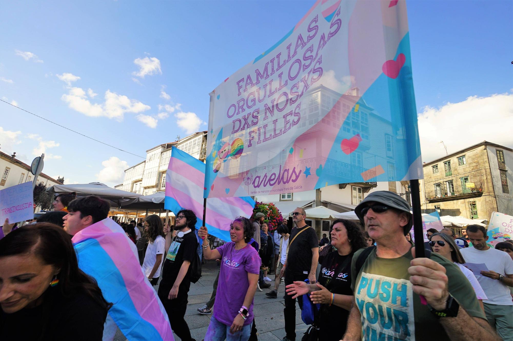 Pecha Compostela Diversa baixo o lema ‘Somos, existimos, resistimos’