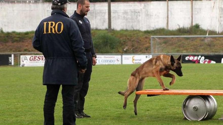 Un juez de la IRO observa el ejercicio, en 2012, del guía José López Louro y Axia.  // Bernabé/Luismy