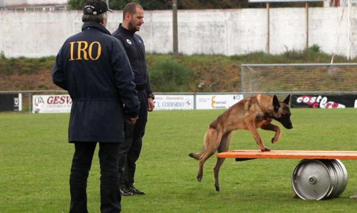 Un juez de la IRO observa el ejercicio, en 2012, del guía José López Louro y Axia.  // Bernabé/Luismy