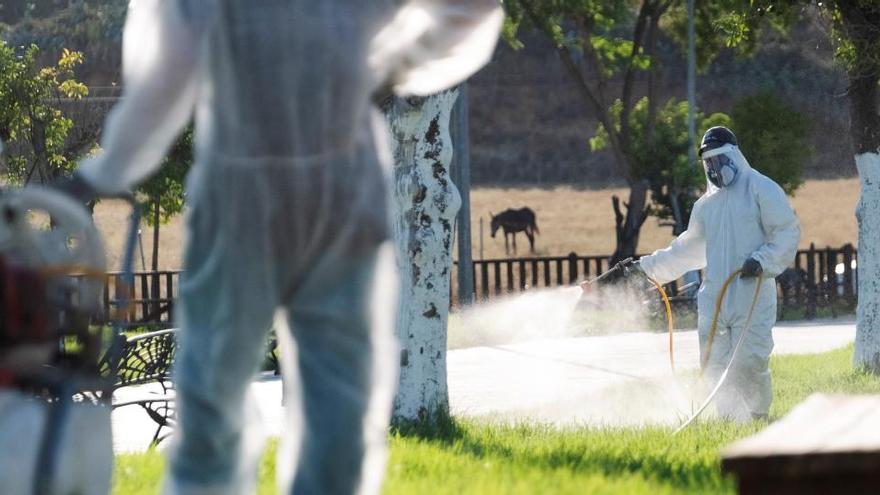 Fumigan diversas zonas para atacar al mosquito del virus del Nilo.