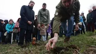 La Fundación Vinjoy empieza a plantar tres bosques en el Naranco para curar las heridas de Oviedo
