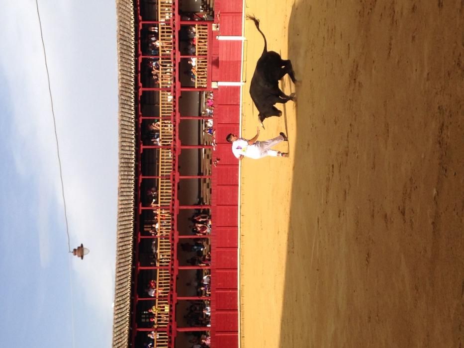 Fiestas Toro- concurso de jóvenes cortadores