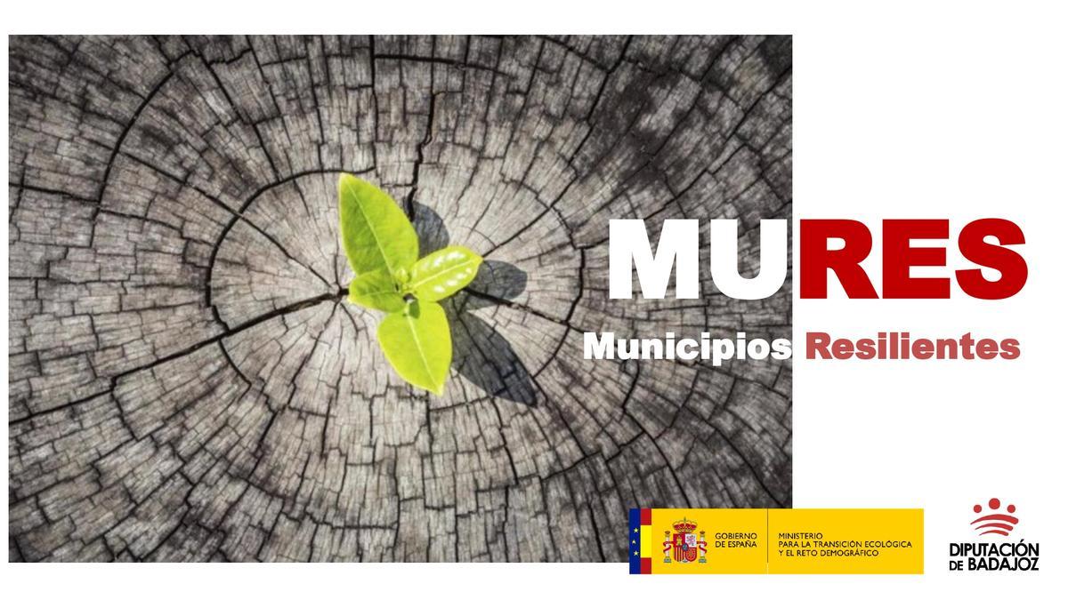 Cratel del proyecto 'Mures' de la Diputación de Badajoz