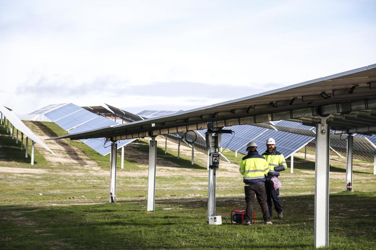 Plantas fotovoltaicas de Alter Enersum en Cáceres. Abastecerá a 72.400 hogares y reportará a las arcas locales 15 millones en los 35 años de explotación.