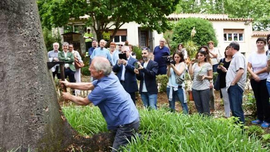 Una pela de suro a la Devesa de Girona per presentar la fira.