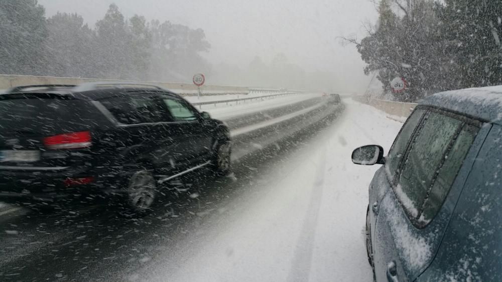 La nieve tiñe de blanco Murcia