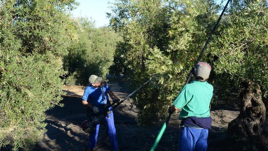 Prorrogan seis meses el convenio actual del campo para esquivar el bloqueo