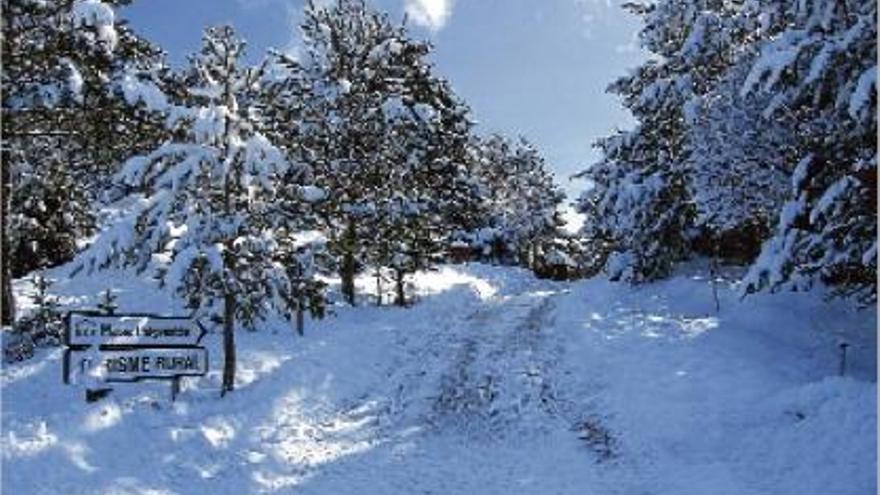 La neu fa acte de presènciaa les cotes altes del Berguedà i el Prepirineu