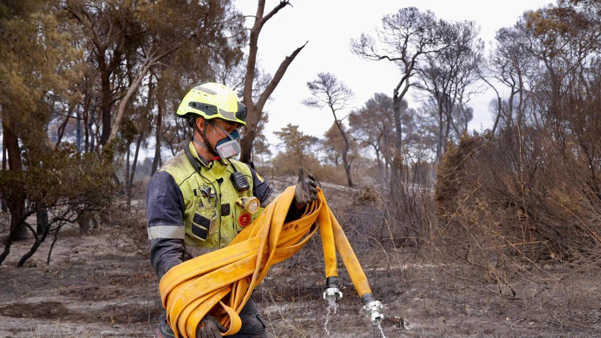 Un bombero trabaja en la zona calcinada por el incendio de la Devesa del Saler.