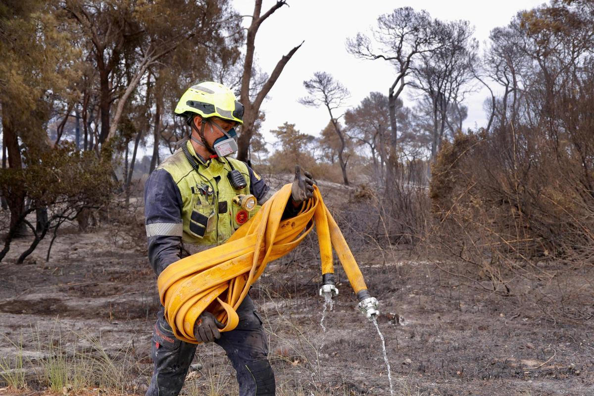 Un bombero trabaja en la zona calcinada por el incendio de la Devesa del Saler
