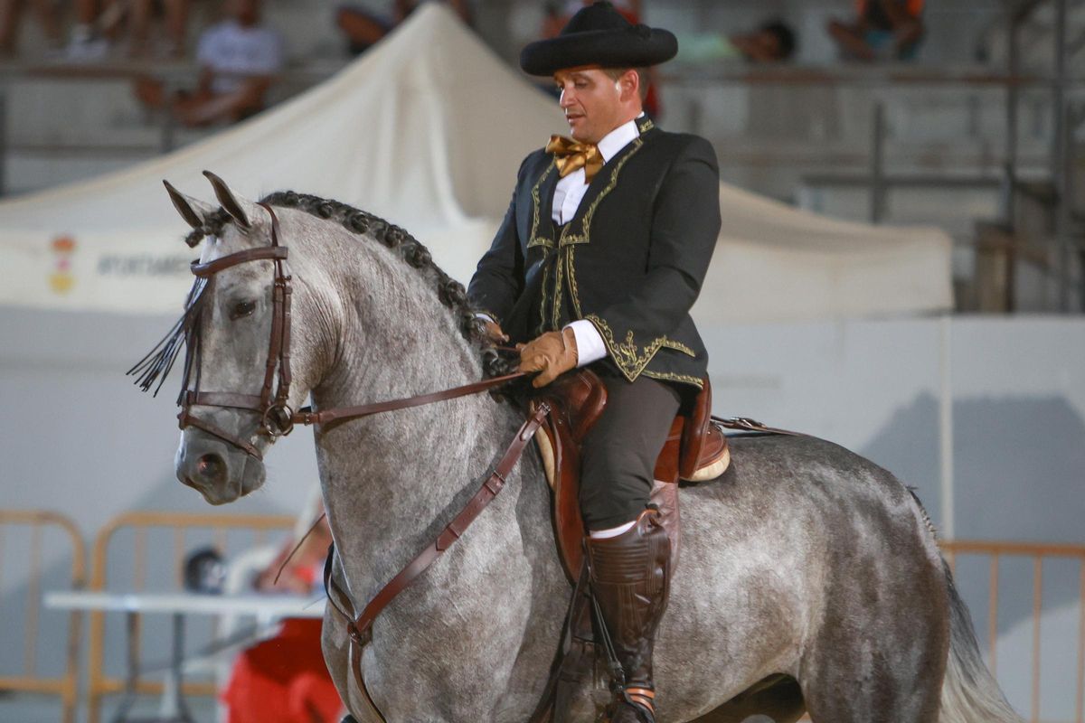 Jinete participando en el evento ecuestre de doma clásica de FEGADO mondando un caballo de Pura Raza Española