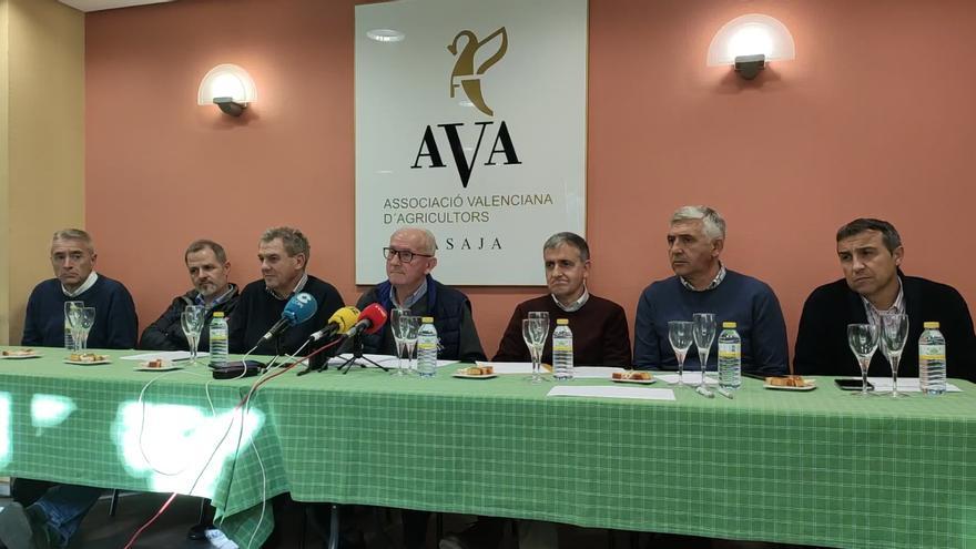 AVA tacha el 2022 de &quot;negro&quot; para la agricultura con pérdidas de 240 millones en Castellón