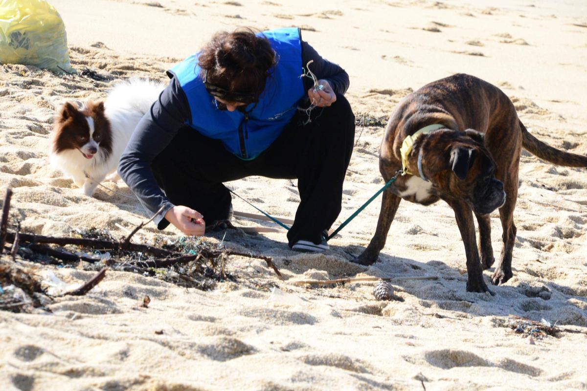 Voluntarios humanos y perrunos en Area de Bon.