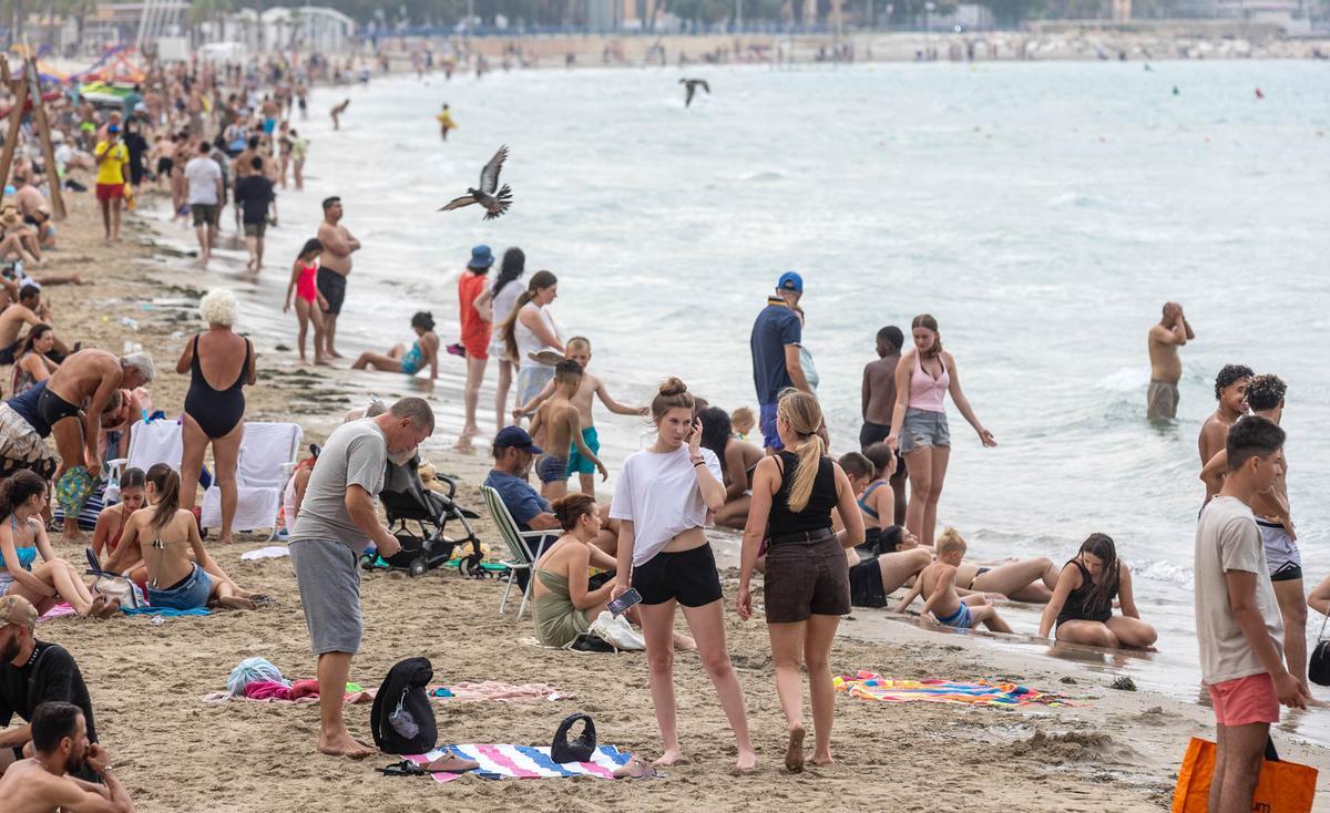 La alerta vacía el mar pero no el arenal del Postiguet