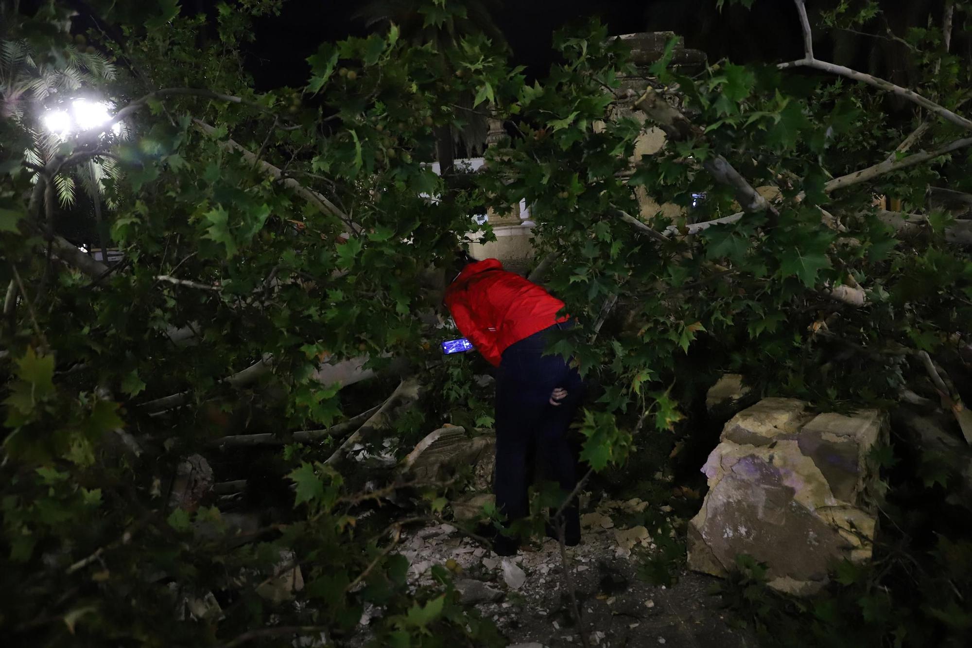 Los efectos del temporal en Córdoba, en imágenes