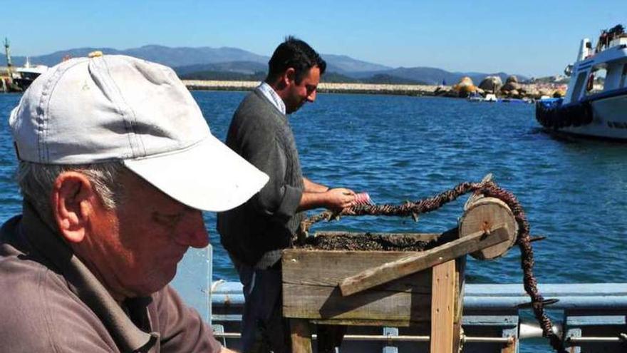 Proceso de encordado de mejilla en una batea en Galicia.