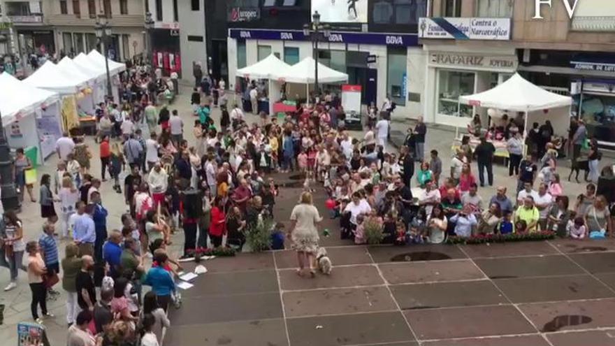 Desfile canino en la Festa do Voluntariado de Vilagarcía