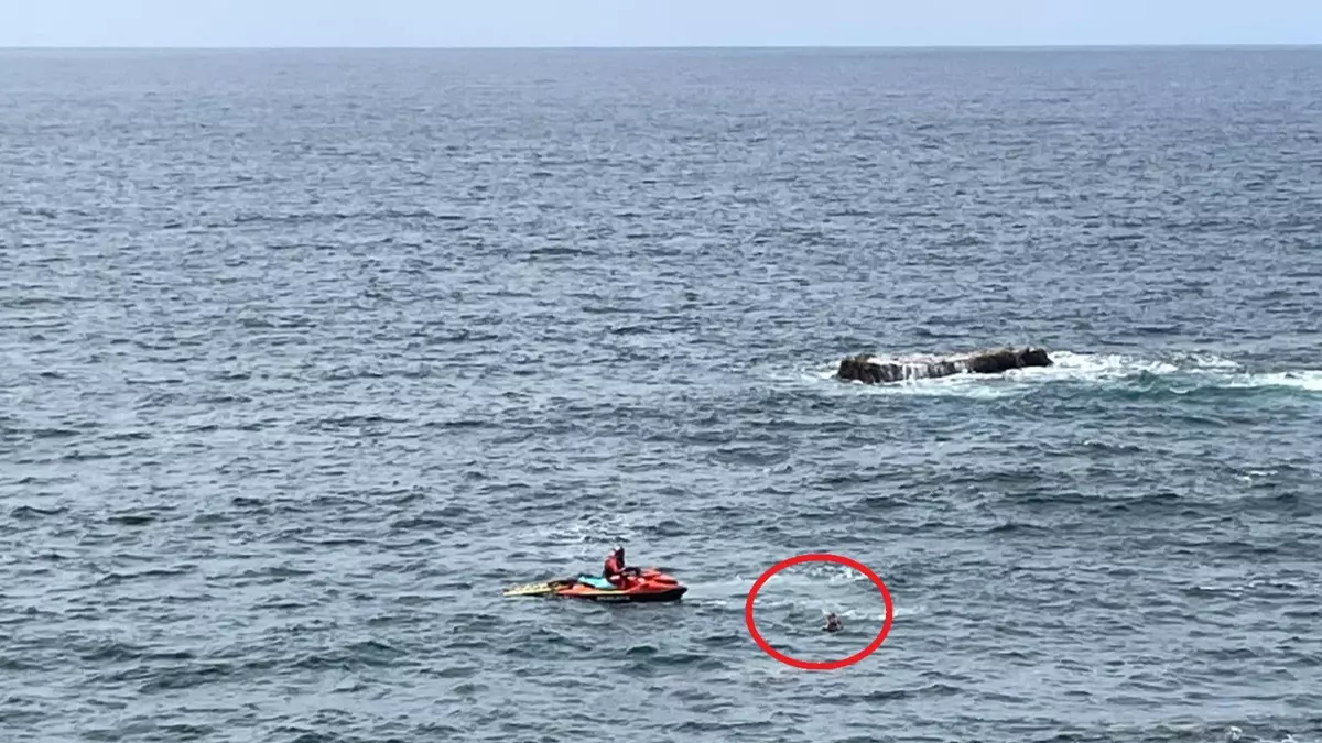 Rescatan a una tortuga en la playa de Las Canteras