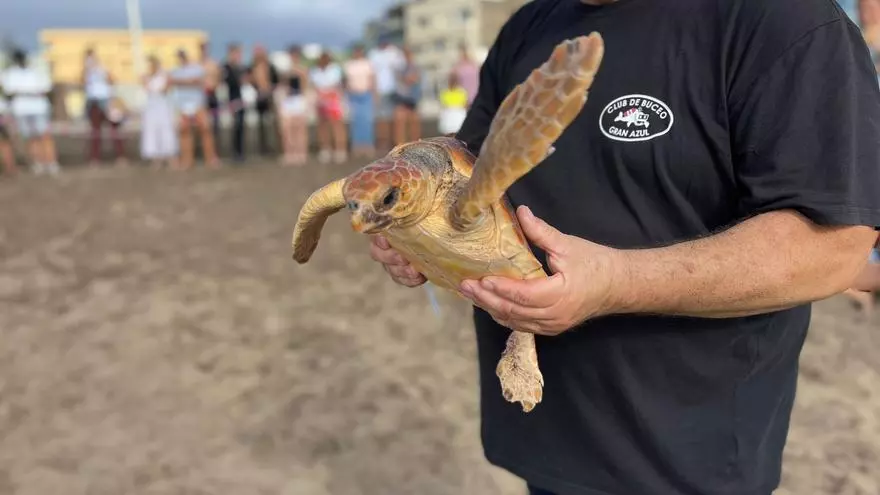 Suelta de tortugas en Telde