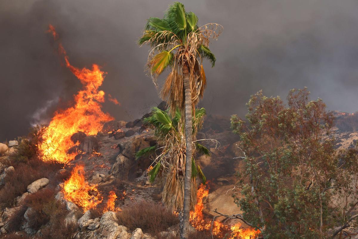 Lucha sin tregua contra el fuego en Hemet (California)