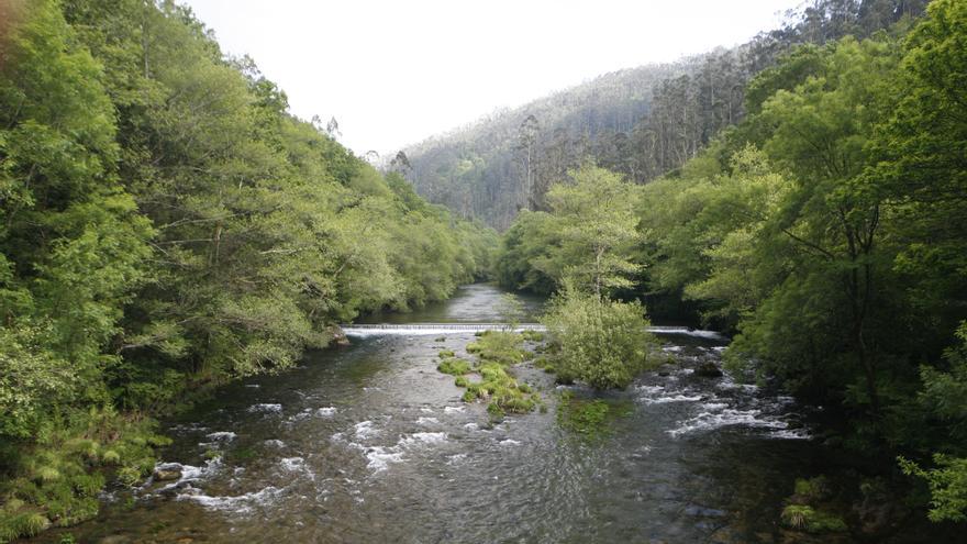 La Xunta negocia la compra de 800 parcelas en las Fragas do Eume