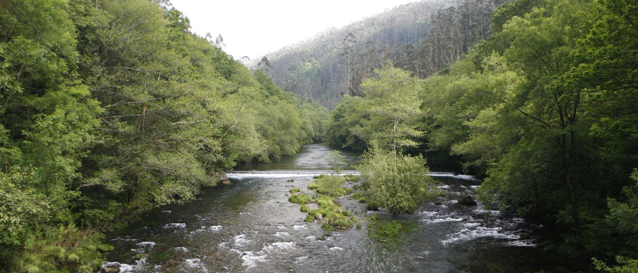 Parque natural de las Fragas do Eume.