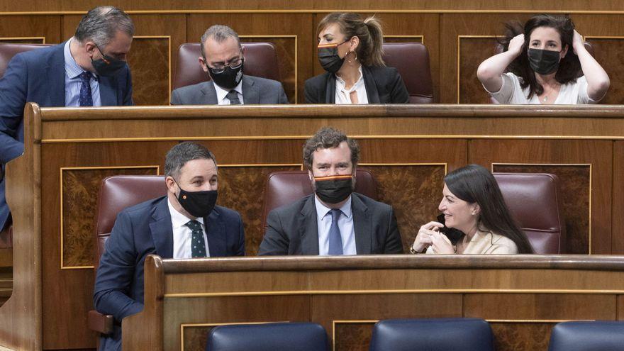 La bancada de Vox en el Congreso.