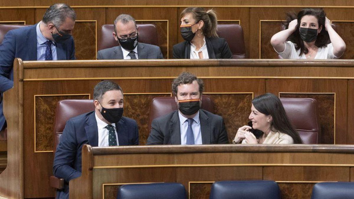 La bancada de Vox en el Congreso.