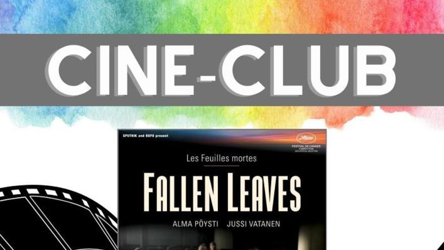 Cineclub - Fallen leaves (VOSE)
