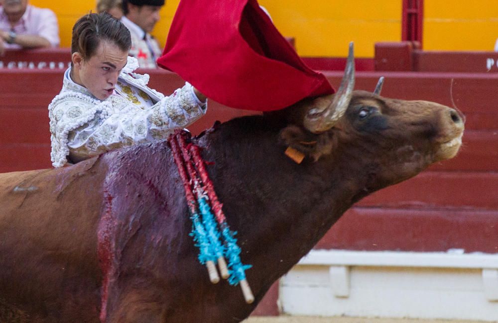 El novillero alicantino Jorge Rico triunfa en casa