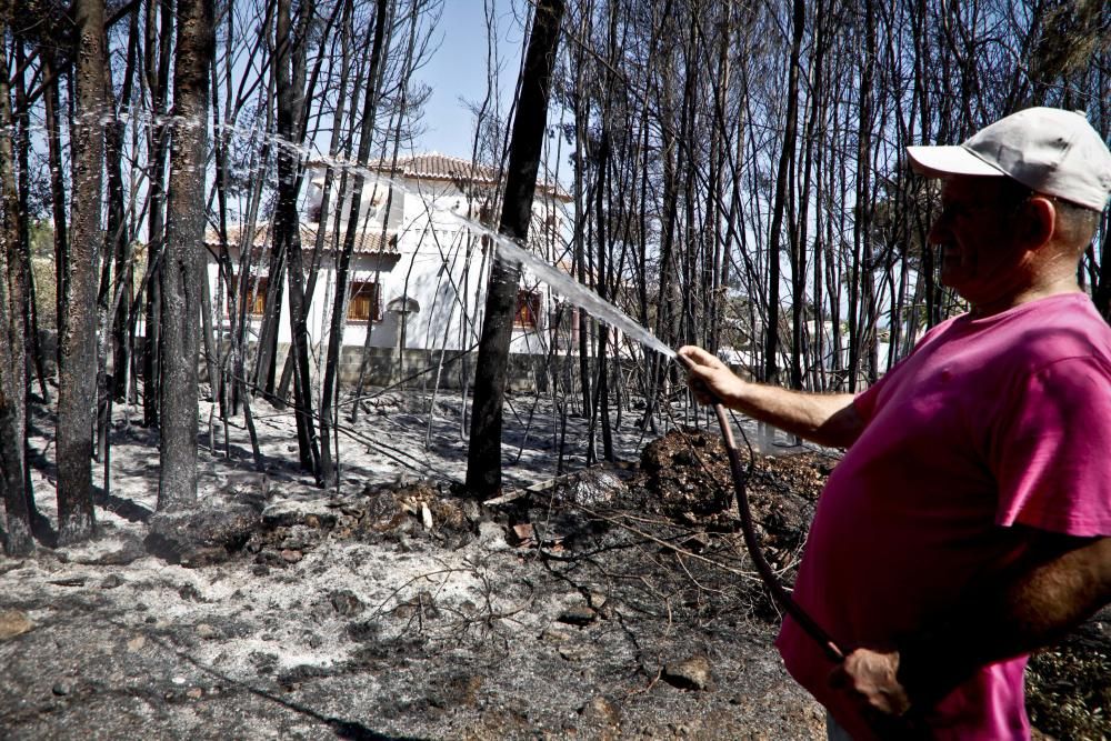 El paisaje tras el incendio de Xàbia y Benitatxell