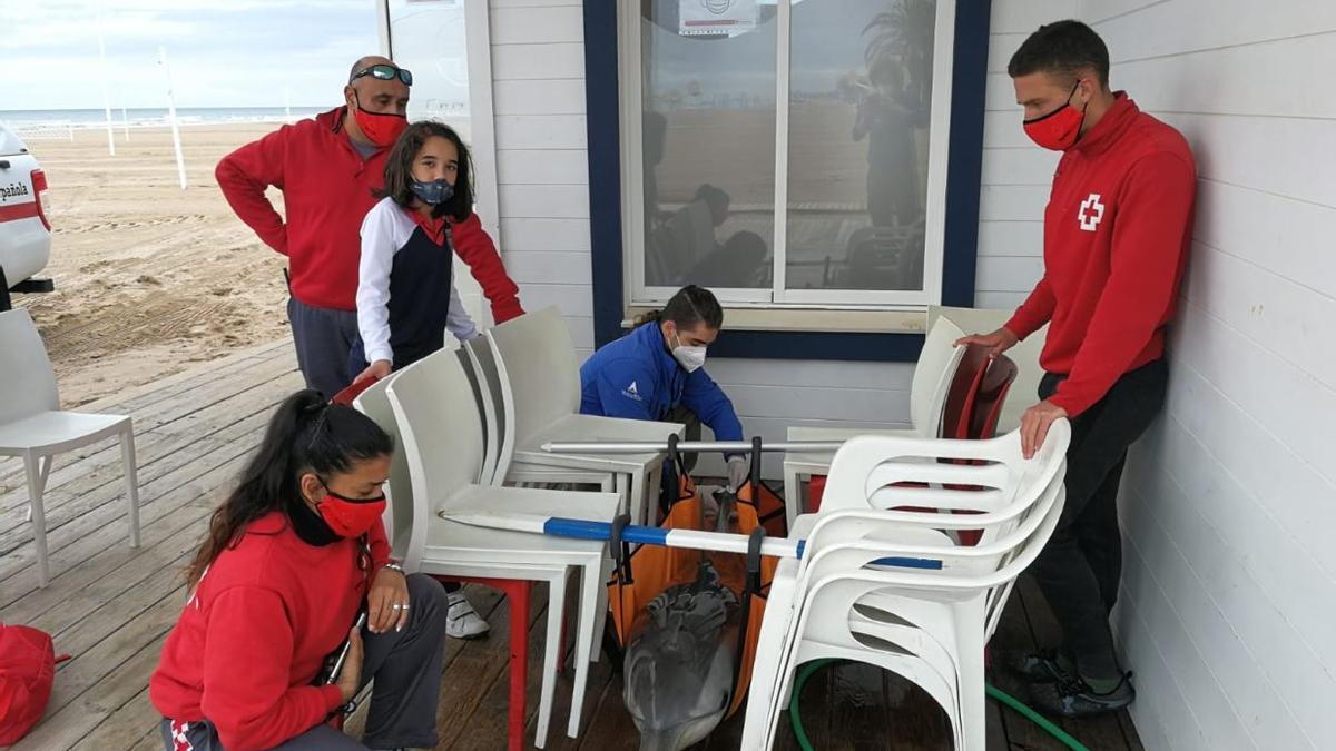 Los sanitarios humedecieron al delfín mientras comprobaban sus constantes