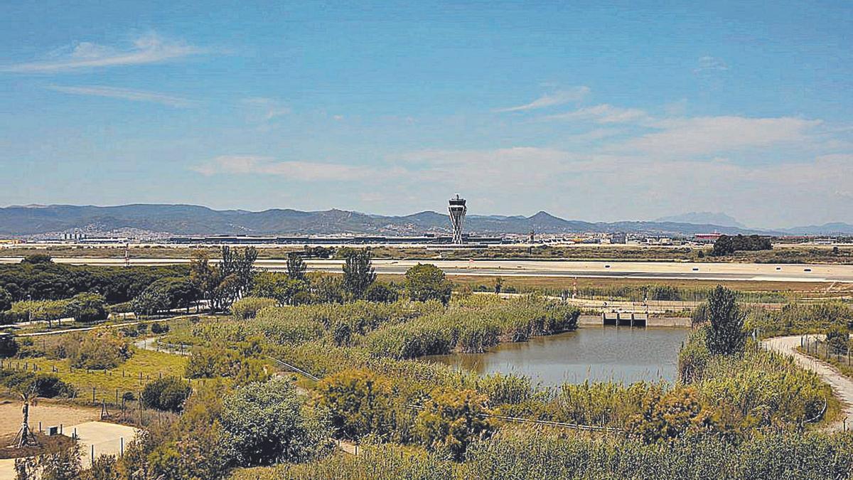 L’espai protegit de la Ricarda és molt a prop de l’aeroport del Prat | EUROPA PRESS/DAVID ZORRAKINO